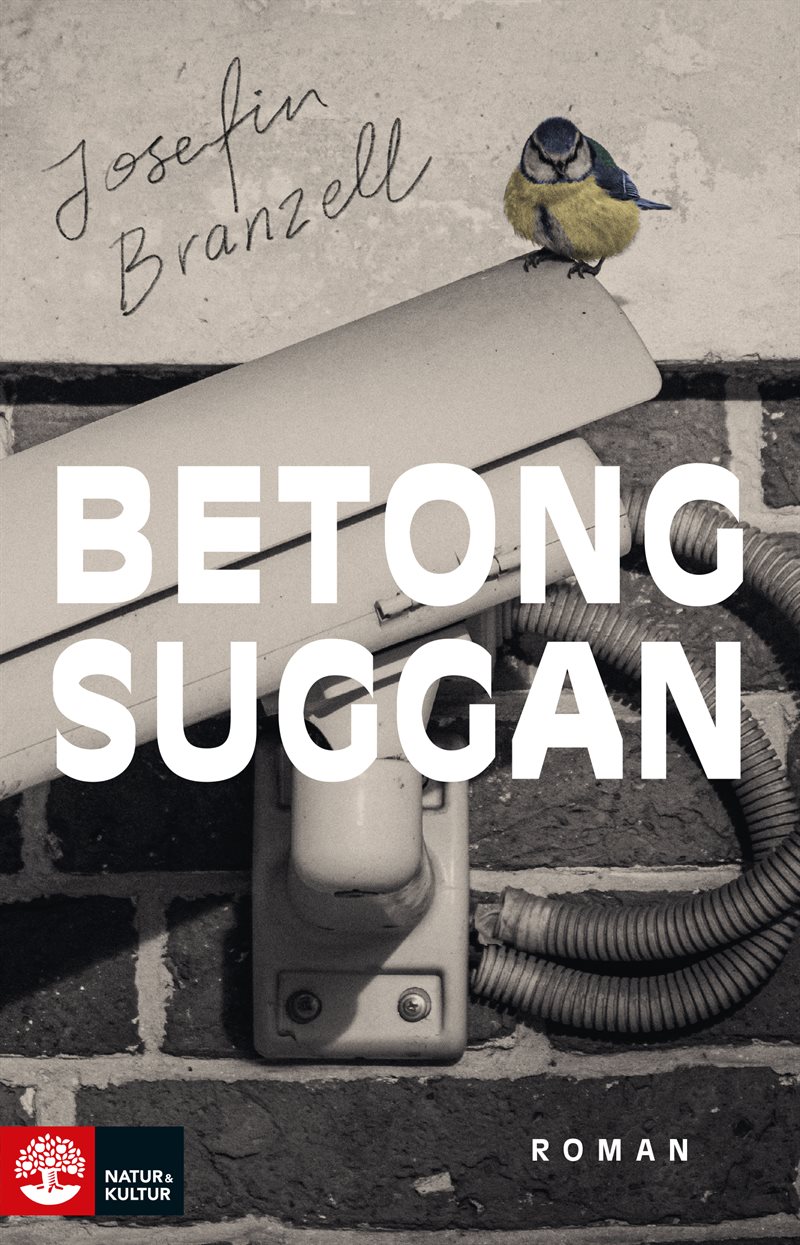 Betongsuggan