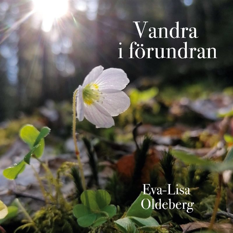 Vandra i förundran : Om och med naturmeditationer.