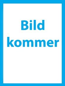 Bortom fjällens horisont