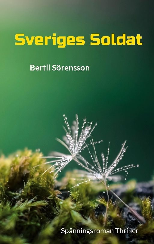 Sveriges soldat