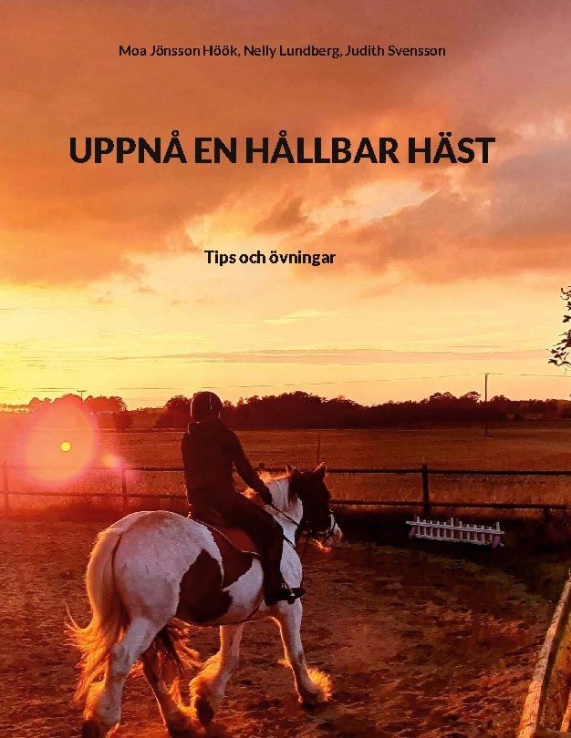 Uppnå en hållbar häst : tips och övningar