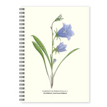 Anteckningsbok A5 Blåklocka linjerad